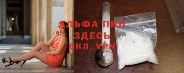 крисы Армянск