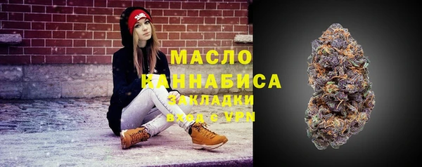крисы Армянск
