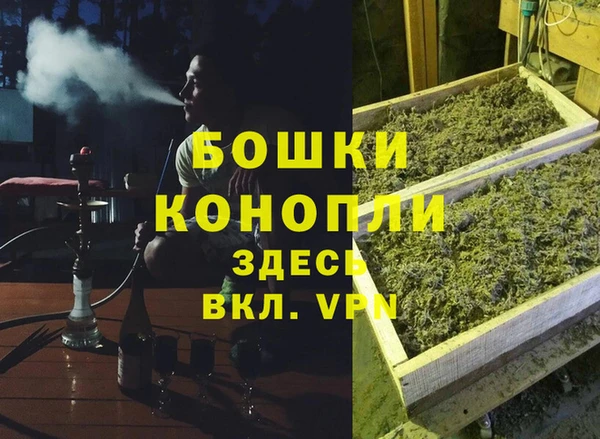 крисы Армянск
