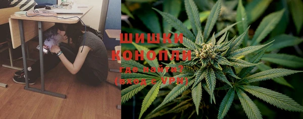 крисы Армянск