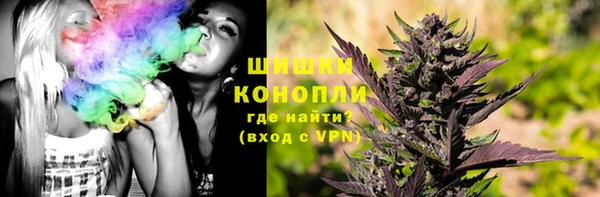 крисы Армянск