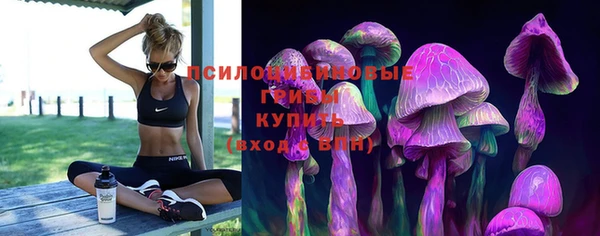 скорость Арсеньев