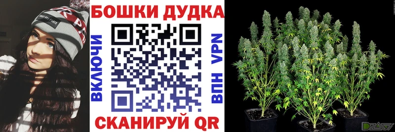 Бошки марихуана LSD WEED Рудня
